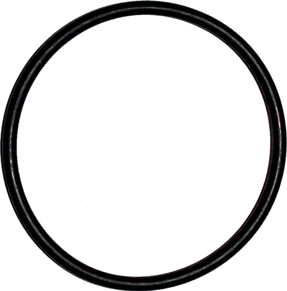 Schwarzer, runder O-Ring vor weißem Hintergrund, der zur Dichtung verwendet wird. Produkt von Wolf, geeignet für spezielle Anwendungen.